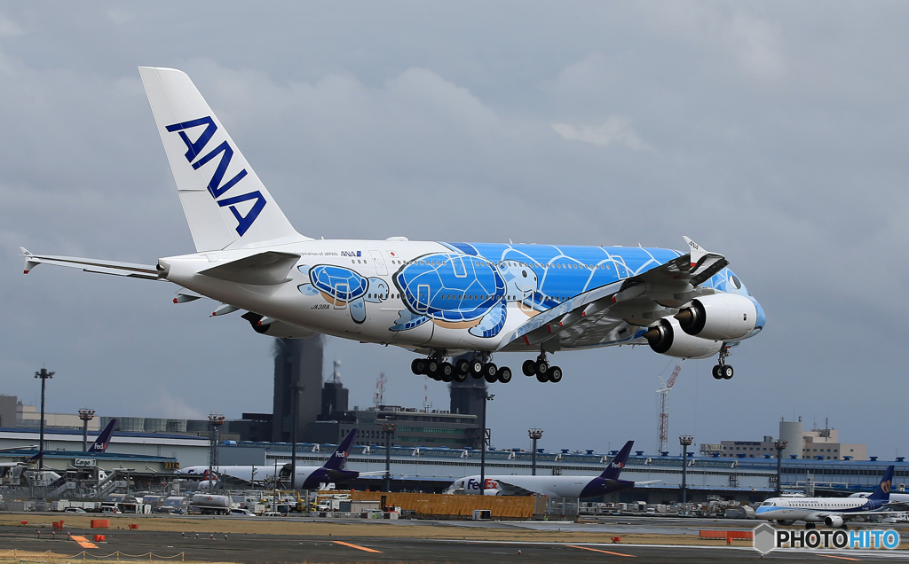 「ブルー」 ANA 「海亀 HONU」 JA381A 到着
