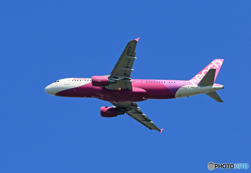 「スカイ」 Peach A320-214 JA807P 離陸 です