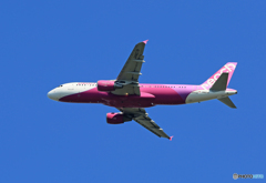 「スカイ」 Peach A320-214 JA807P 離陸 です