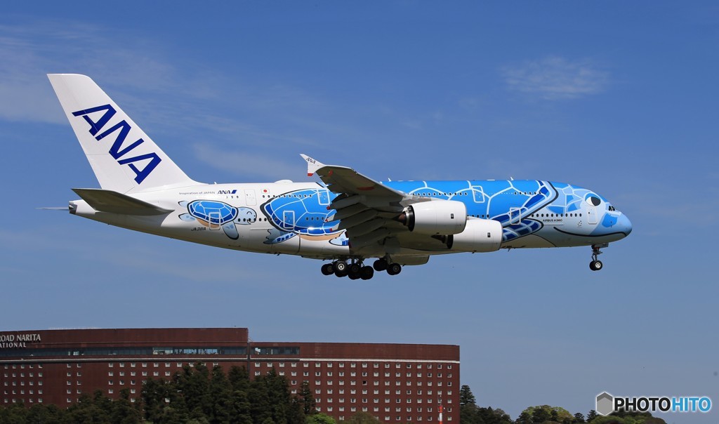 「青空」 ANA A380-841 JA381A 着陸します