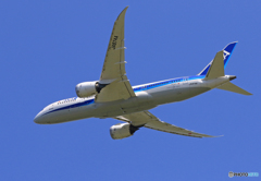 「ぶるー」 ANA 787-9 JA874A Takeoff 