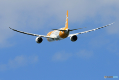 「すかい」 SCOOT 787 9V-OJB 出発