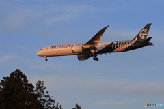 「そらー」 Air NZ' 787-9 ZK-NZC 着陸します