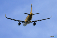 「はれ」 バニラ　A320　離陸です
