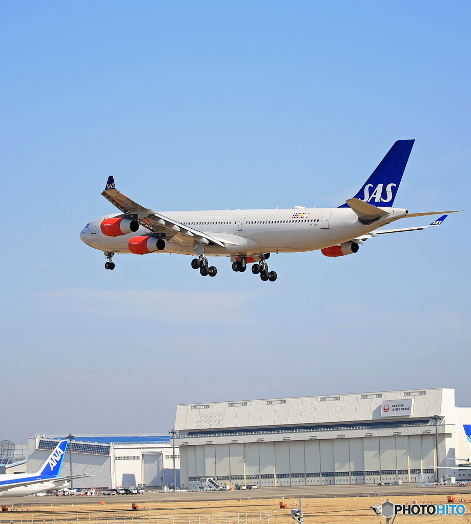 「青が好き」 SAS A340-313 OY-KBC 着陸