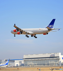「青が好き」 SAS A340-313 OY-KBC 着陸