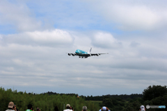 「青が大好き」✈ホノルルから戻って来た「ホヌ2号機」✈