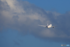 「あおいそら」 JAL 787-8 Takeoff 