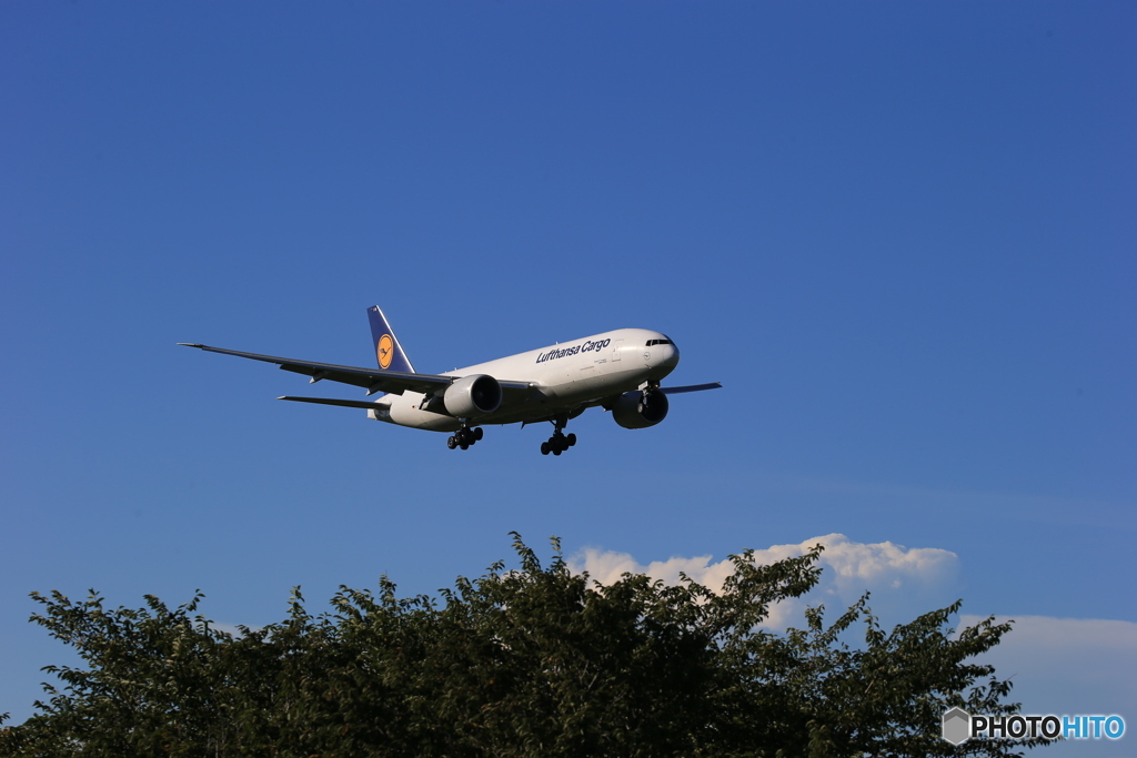 「cool」Lufthansa 777-FBT D-ALFB  着陸します