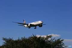 「cool」Lufthansa 777-FBT D-ALFB  着陸します