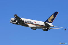 「晴れ」Singapore A380-841 9V-SKL  離陸です