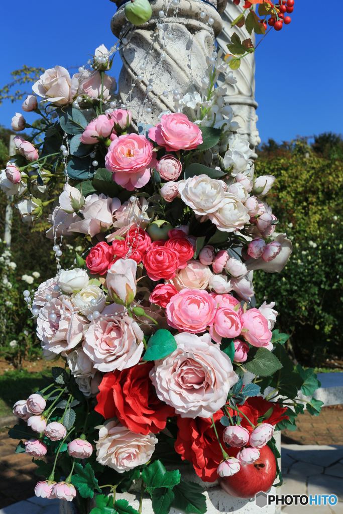 「スカイ」薔薇色が映えるね