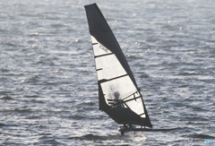 「クール」そろり~　そろり〜