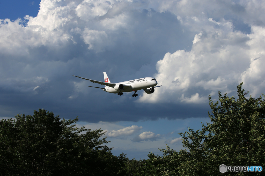 「そらー」 Japan Airlines 「夏空」 787-9 到着