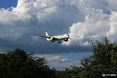 「そらー」 Japan Airlines 「夏空」 787-9 到着
