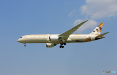 「良い天気」 Etihad 787-9 A6-BLB Landing