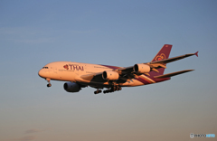 「良い天気」THAI A380-841 HS-TUD  Landing