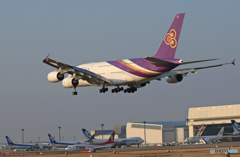 「良い天気」　THAI A380-841 HS-TUB Landing