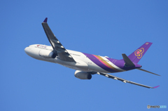 「青が大好き」THAI A330-343 HS-TMS 出発します