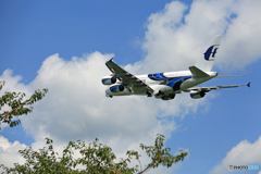 「はれー」 Malaysia A380-841 9M-MNB 出発