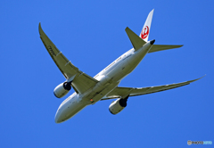 「SKY」 JAL 787-8 JA844J 飛び立ち 