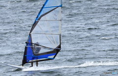 「青色が好き」ちょうど良い風です