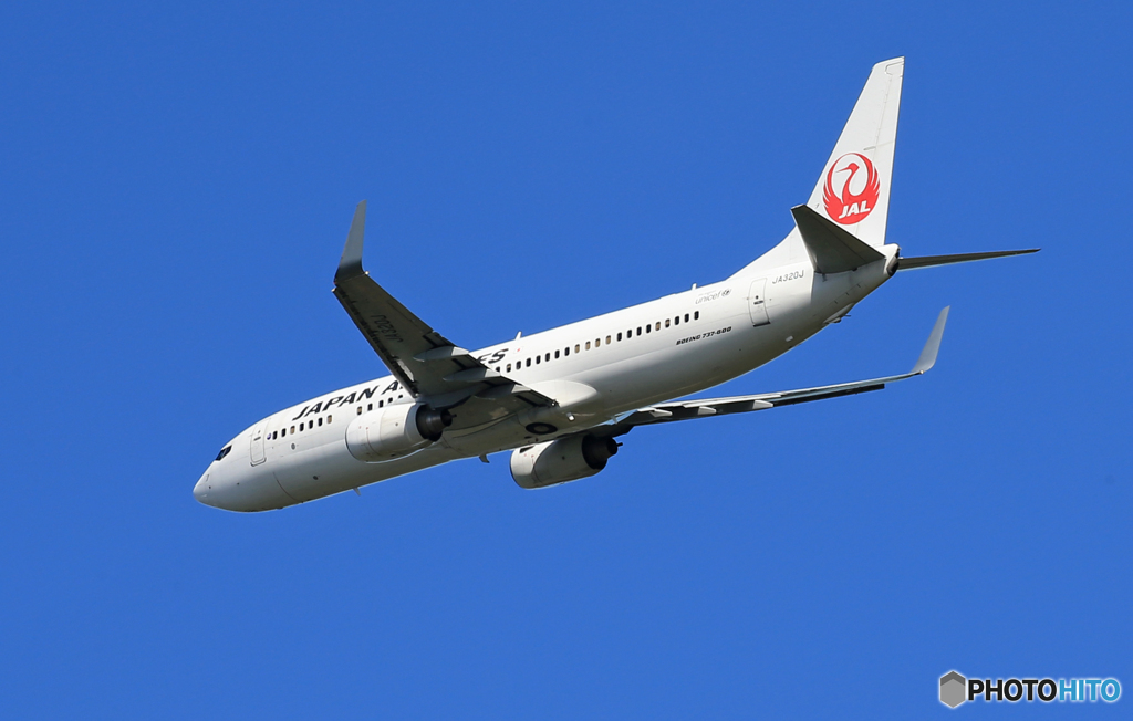 「群青色」JAL 737-800 JA320J  Takeoff  