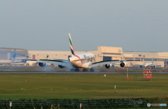 「青が好き」 ✈エミレーツ動物愛護機✈ 着陸します