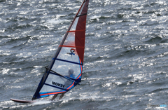 「青い海」Youも来て