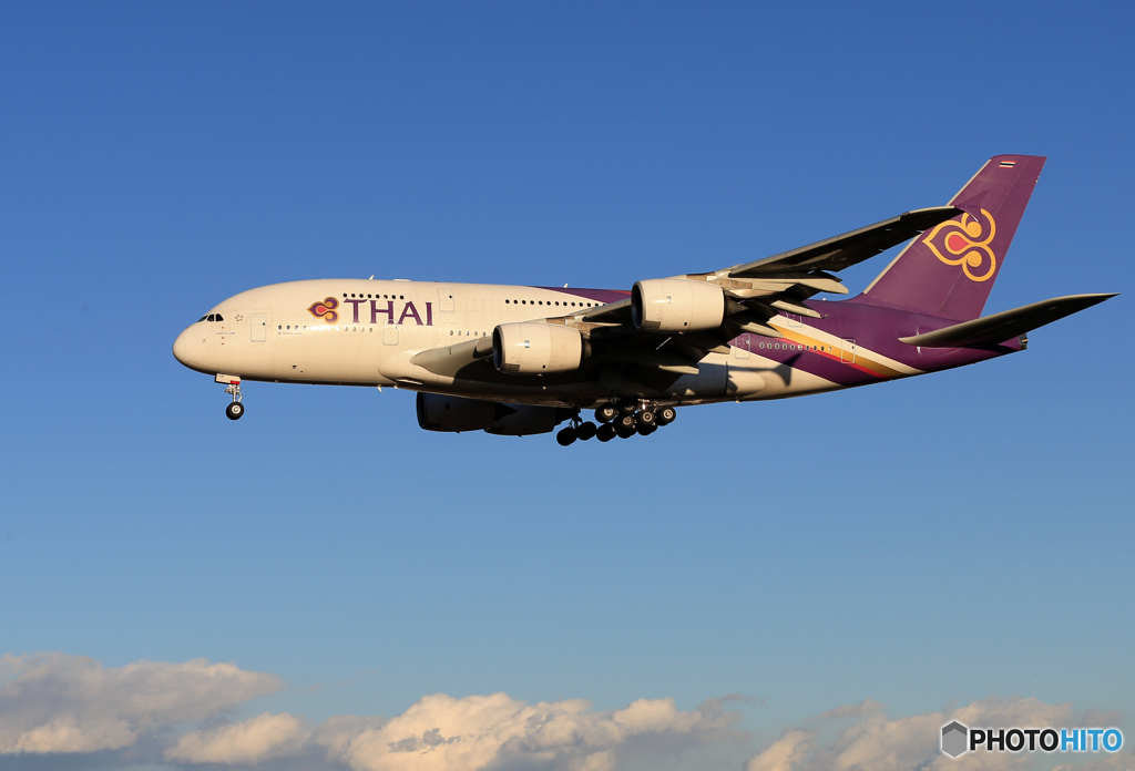 「スカイ」 THAI A380-841 HS-TUB Landing 