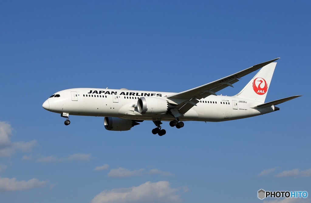 「そらー」 JAL 787-8 JA839J Landing 