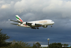 「青が好き」 EMIRATES A380-861 A6-EDC