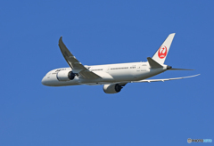 「はれー」 JAL 787-9 JA866J 出発です