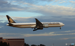 「青が大好き」 Singapore 787-10 9V-SWE  Landing