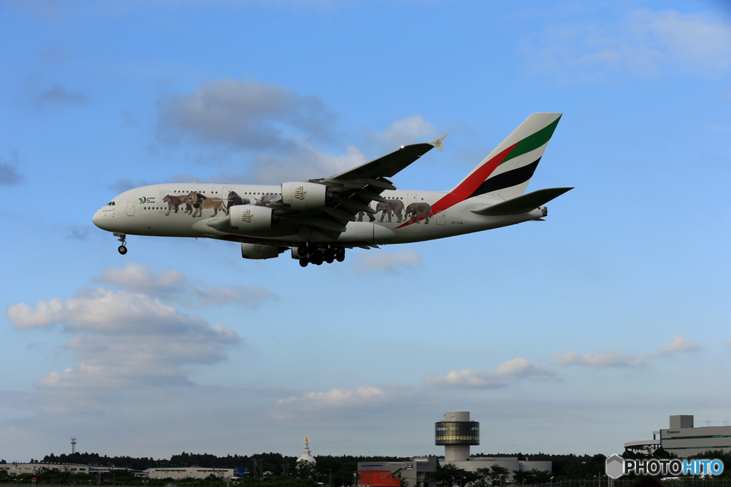 「曇り」エミレーツ動物愛護機A380-861 Landing 
