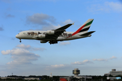 「曇り」エミレーツ動物愛護機A380-861 Landing 