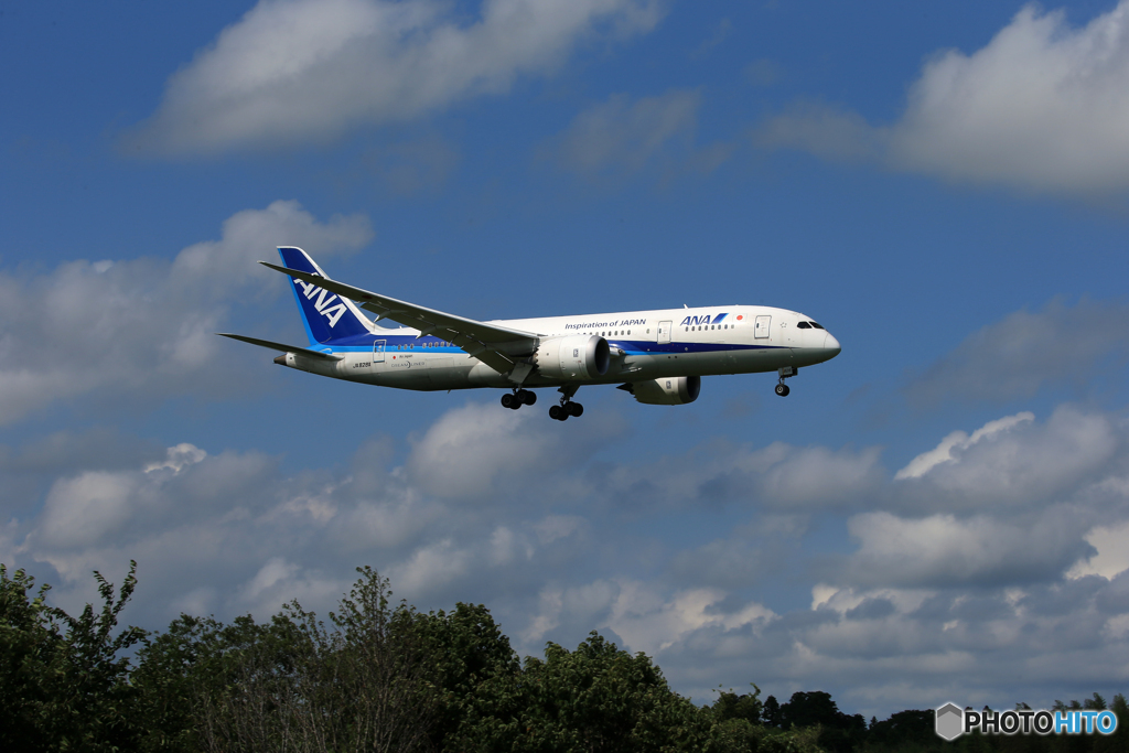 「晴れ」 ANA 787-8 JA828A  Landing