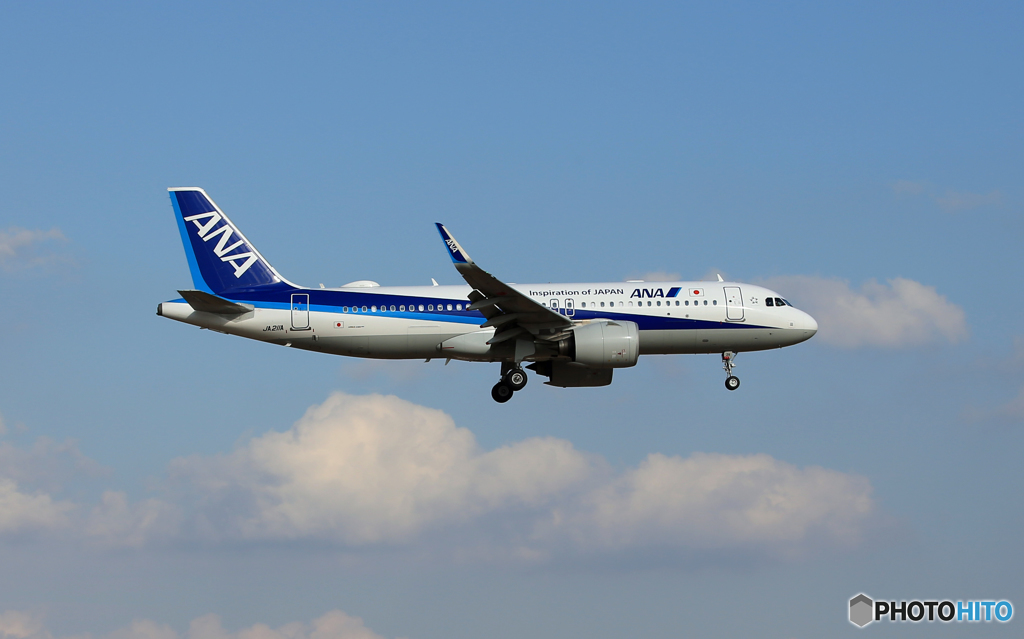 「SKY」 ANA A320-271 JA211A 到着