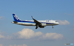「SKY」 ANA A320-271 JA211A 到着