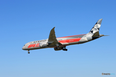 「青が好き」Etihad F-1 カラー787-9 ※ 良いお年を