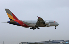 「雨」 ASIANA A380-841 HL7626 Landing