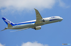 [青い空]　ANA 787-9 JA892A Takeoff