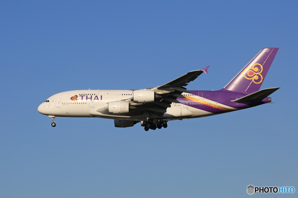 「青色が好き」 Thai A380-841 HS-TUF Landing