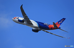 ☀「あおぞら」Air Calin A330-941 F-ONEC Takeoff