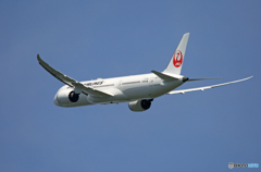 「青が好き」 JAL 787-9 JA871J 飛び立ちです