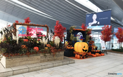 羽田空港　(1312)　ハロウイン