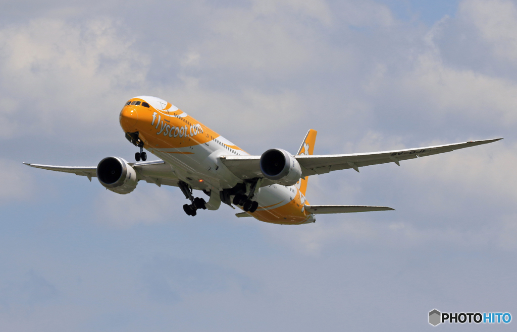 「青色が好き」 Scoot 787-9 9V-OJF 飛ぶ