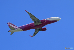 「空色」Peach A320-214 JA13VN  飛び立ち