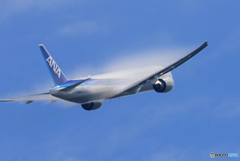 「ぶるー」 ANA 777 飛ぶ ベイパー JA788A