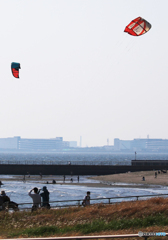 「海辺の風景」カイトサーフィン　楽しそうね (1)
